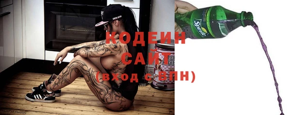 крисы Богородицк