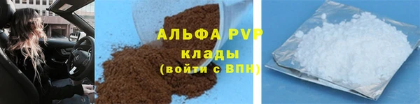 крисы Богородицк