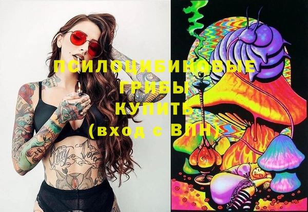 марки nbome Богданович