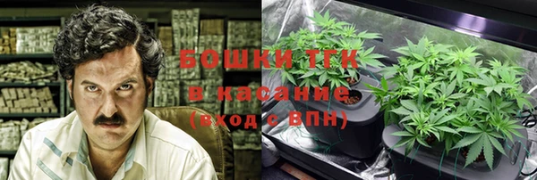 крисы Богородицк