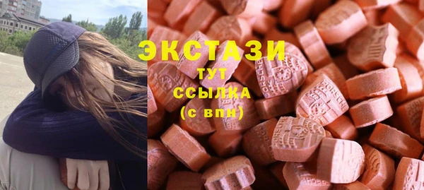 крисы Богородицк
