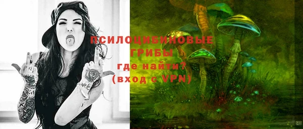 прущая мука Богородск