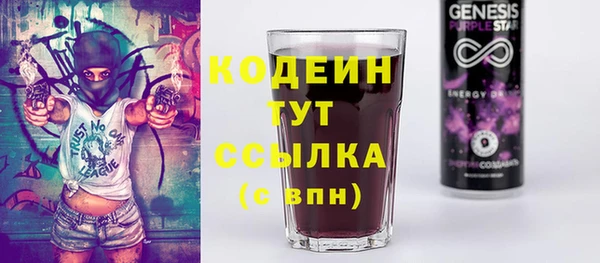 крисы Богородицк