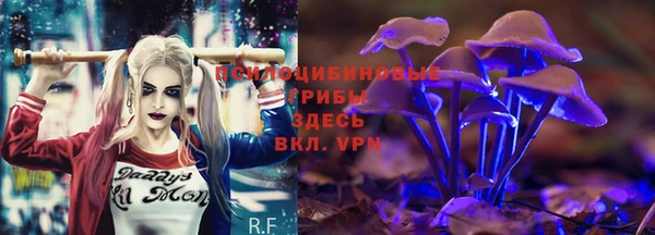 прущая мука Богородск