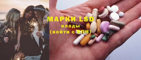 индика Протвино