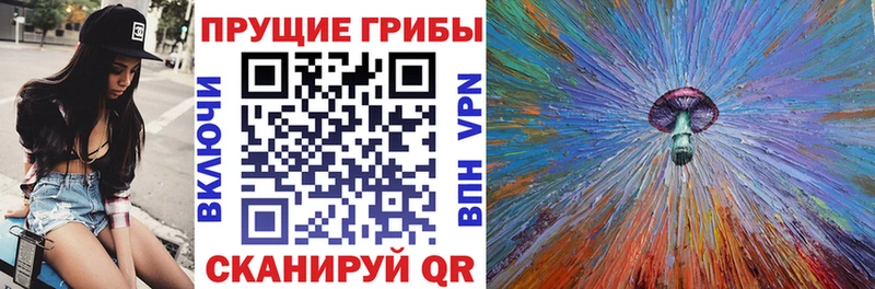 Псилоцибиновые грибы прущие грибы  Санкт-Петербург 